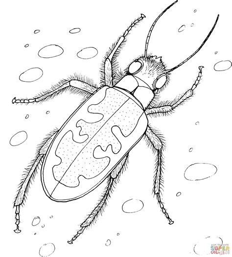 stag beetle page coloring pages