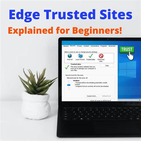 What Are Edge Trusted Sites Explained For Beginners Pigtou
