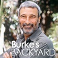 Burke's Backyard (@burkesbackyard) | Twitter