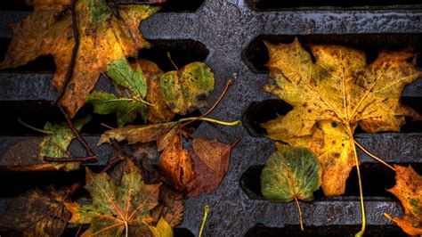 50 Bing Autumn Desktop Wallpaper On Wallpapersafari
