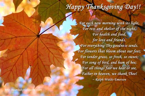 Happy Thanksgiving Greeting Cards Techicy