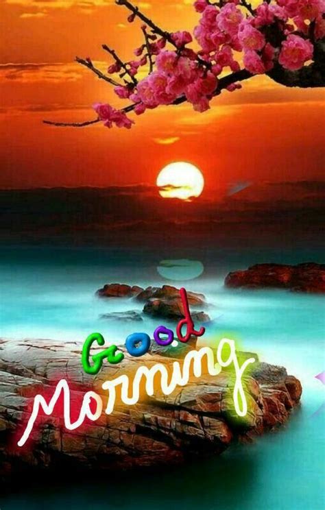 We didn't focus on romantic pictures here, only on the cute pics — so you. Beautiful Sun Good Morning Pictures, Photos, and Images ...