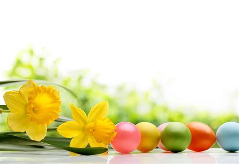 Easter Time Daffodils Easter Flowers Spring Eggs Hd Wallpaper Pxfuel