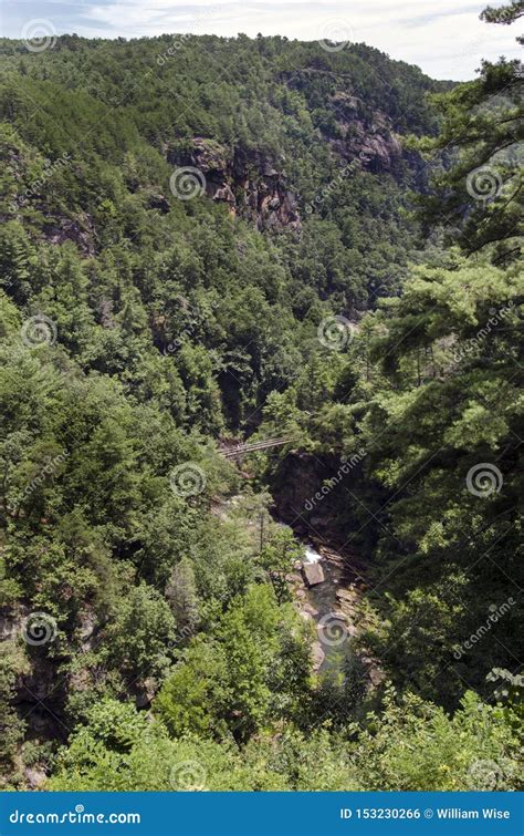 Puente Colgante De Tallulah Gorge State Park Georgia Foto De Archivo