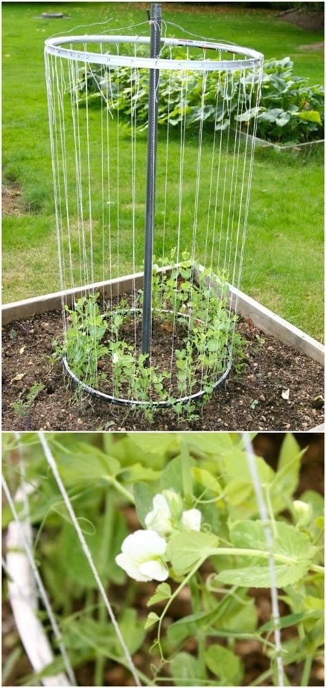 4 diy vegetable garden trellises: 20 Easy DIY Trellis Ideas To Add Charm and Functionality To Your Garden - Page 2 of 2 - DIY & Crafts
