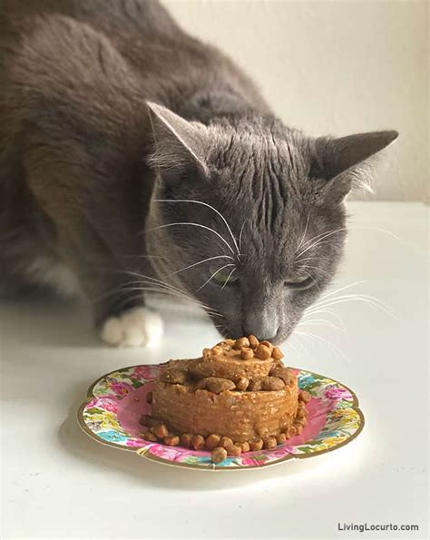 Happy Birthday Cat Eating Cake