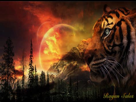 ~♥ Tiger ♥ ~ Tigers Wallpaper 10309609 Fanpop