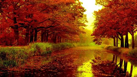 41 Autumn Wallpapers For Computers Tablets Or Phones