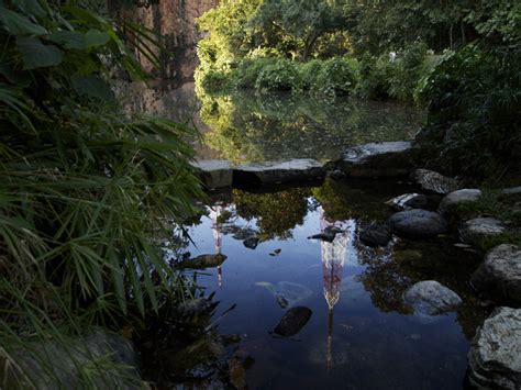 The place is not just known around for its wildlife but is quite a popular spot for viewing the amazingly clear water and takes a stroll around. hjtann photo blog: Bukit Batok Nature Park