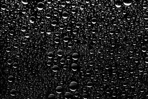 Close Up Of Water Drops On Black Background Stock Photo Image Of