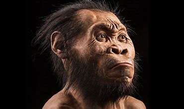 Homo naledi lived as recently as 236,000 years ago and could have crossed paths with the direct ancestors of modern humans now, the scientists who uncovered homo naledi have announced two new findings: "Homo naledi": una nueva especie humana descubierta en Sudáfrica