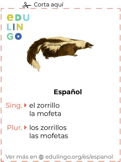 Zorrillo En Español • Escritura Y Pronunciación Con Imágenes
