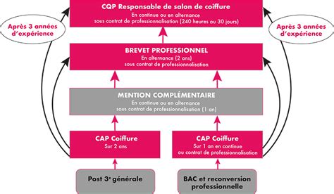 Elle permet d'obtenir une formation professionnelle spécialisée en techniques de coupes et de coloration. Formations diplômantes - Nantes Academie Coiffure