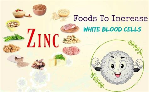 Foods That Raise Your White Blood Cell Count Food Ideas
