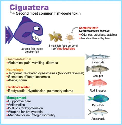 Ciguatera Fish Poisoning After Traveling To Cuba Medizzy Journal