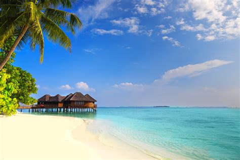 Tropical Island With Sandy Beach Palm Trees And Overwater Bungalow