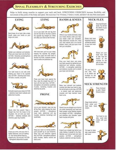 check out all these awesome spinal flexibility and stretching exercises workout chart physical