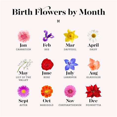 Que Flor Simboliza O Nascimento