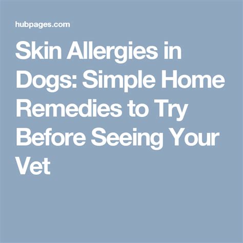 Skin Allergies In Dogs Home Remedies To Try Before Seeing Your Vet