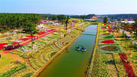 Taman ini juga merupakan salah satu dari lima taman patung terbaik dunia yang menampilkan lebih dari 200 patung. Festival Bunga Musim Semi di Korea Selatan | Trip dan Tour ...