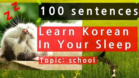 Learn Korean While You Sleep 100 Basic Korean Phrases And Words Korean