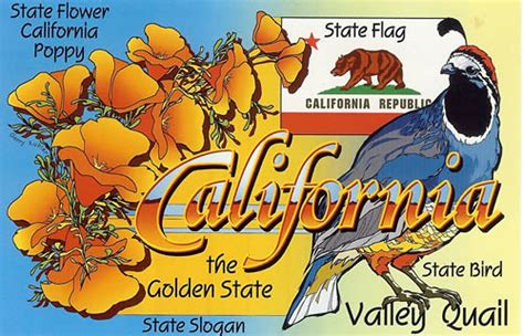 Symbols Of California Lessons Blendspace