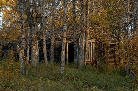 90 Free Abandoned Cabin And Cabin Images Pixabay