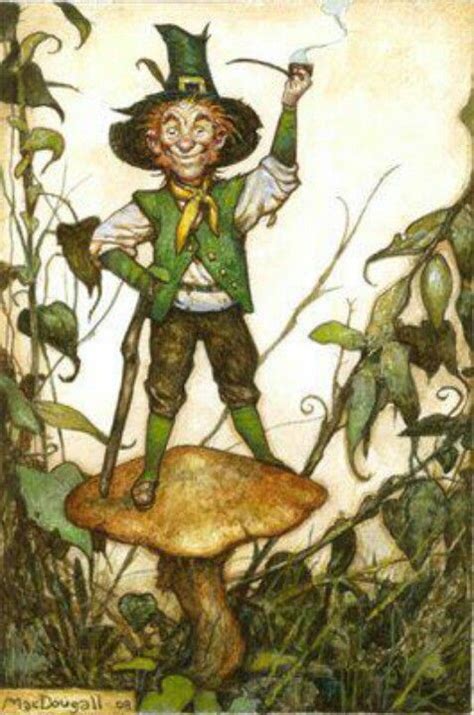 Larry Macdougall Irish Fairy Types Of Fairies Leprechaun