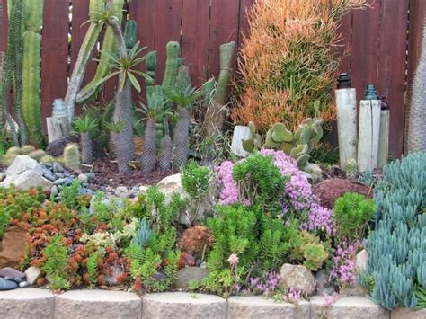 Angstrom unit staple fiber in the diets of many natives of the area the nopal cactus. How To Use Succulent Landscape Design For Your Home ...