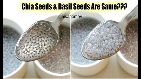Chia Seeds Before And After Weight Loss Weightlosslook