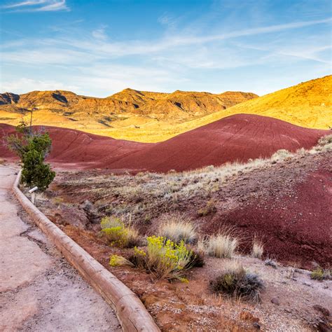 A Trip To John Day Fossil Beds For Four In 2021 John Day National