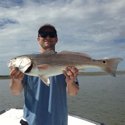 Hilton Head Redfish Hiton Head Fishing Adventures