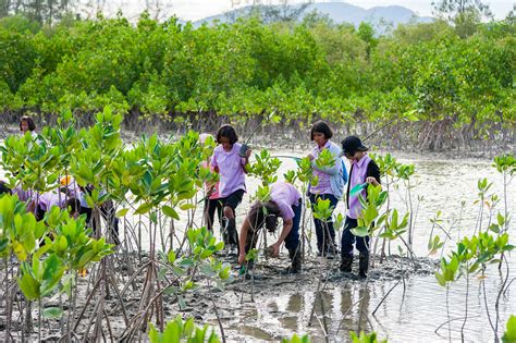 New Filipino Law Requires All Students To Plant 10 Trees Before They