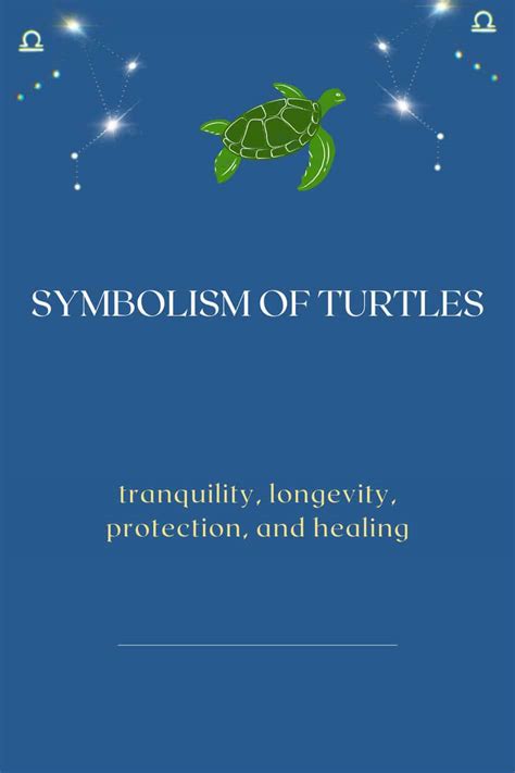 The Spiritual Meaning Of Turtles Symbolism Totem And Spirit Animal