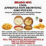 Hot potato: New genetically modified tater approved by USDA, loathed by ...
