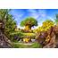 Tree Of Life In The Sun At Disneys Animal Kingdom  Burnsland