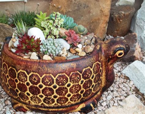 Turtle Planter With Succulent Garden On Its Back Succulents Garden