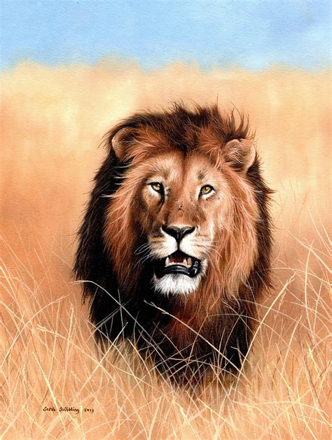 African Lion Painting By Sarah Stribbling Pixels