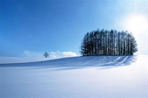 Winter Scene Backgrounds ·① Wallpapertag