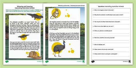 Skimming And Scanning Activities Pdf Primary Resources