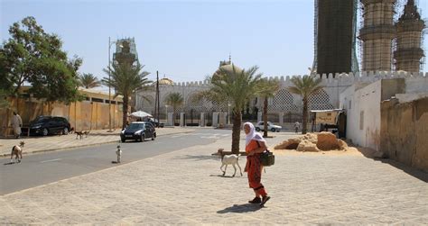 Nibbio Bruno African Experience Touba La Città Santa Del Senegal