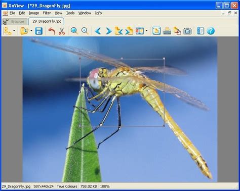 Xnview is a free software for windows that allows you to view, resize and edit your photos. Xnview Full - Download xnview for windows pc from ...