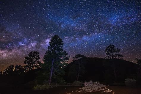 Landscape Scenic Night Sky Outdoors Trees Countryside Stars