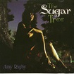 The Sugar Tree | Amy Rigby