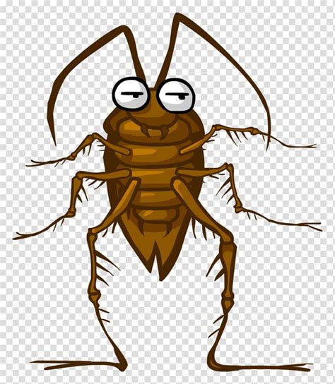 Animated Cockroach Clipart 10 Free Cliparts Download Images On Clipground 2024