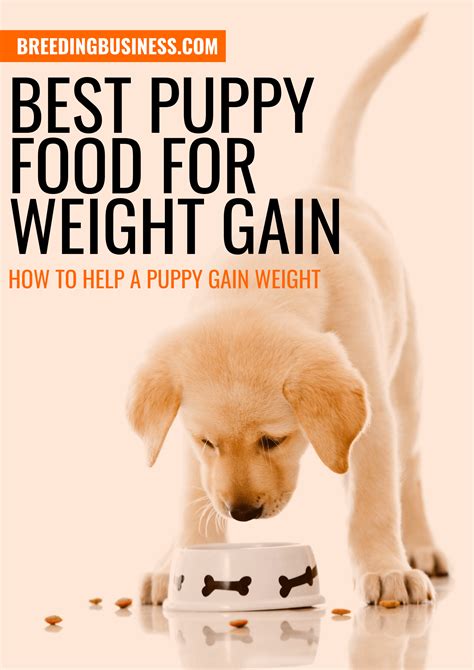 On this page… we'll share the dog food advisor's top 10 best senior dog foods… and we'll answer the 8 most frequently asked questions about feeding older dogs. 5 Best Puppy Foods for Weight Gain - Mass Builders & Reviews