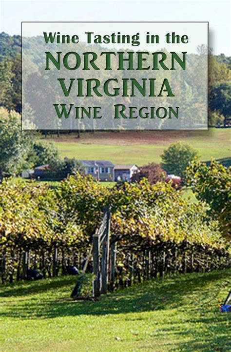 Best Wineries In Northern Virginia For Wine Tasting Wine Tour Wine