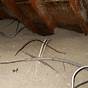 Electrical Wiring In Attic