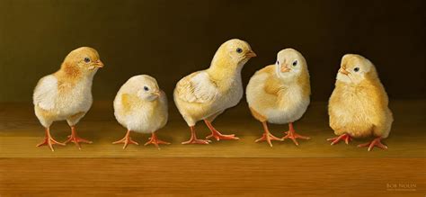 Five Chicks Named Moe Digital Art By Bob Nolin Fine Art America