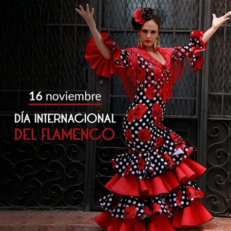 Como assistir ao flamengo ao vivo na tv na libertadores: Hoy lunes 16 de noviembre se celebra el Día Internacional ...